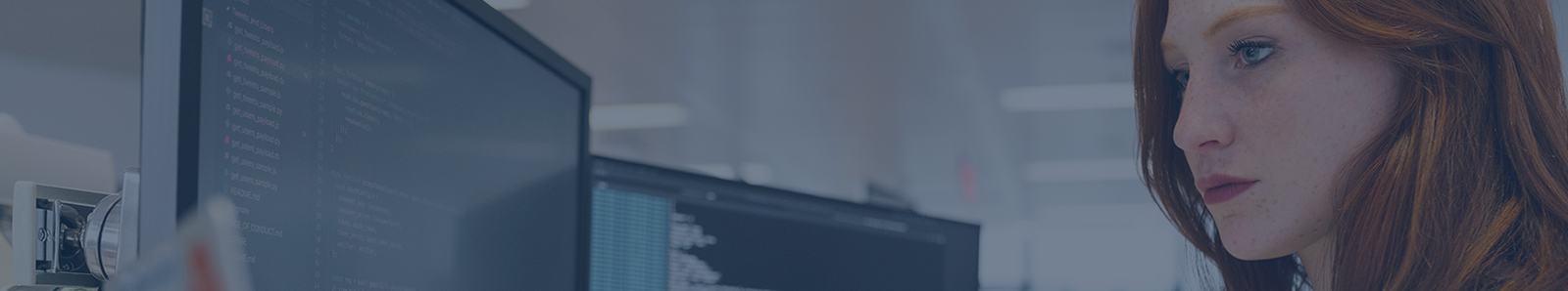 Software Testing & QA Services Software Testing & QA Services