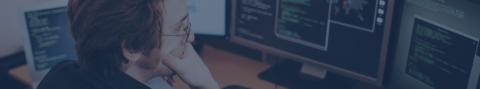 Software Consulting Services Software Consulting Services