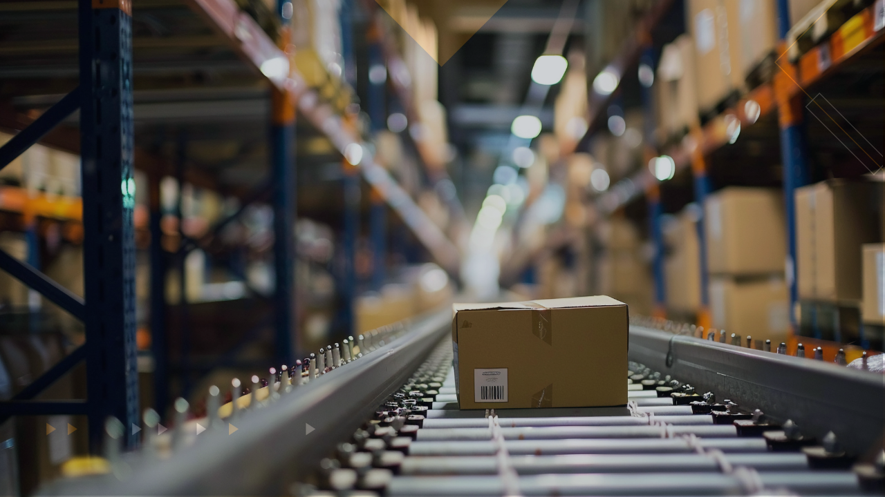 desarrollo de software logistico desarrollo de software logistico