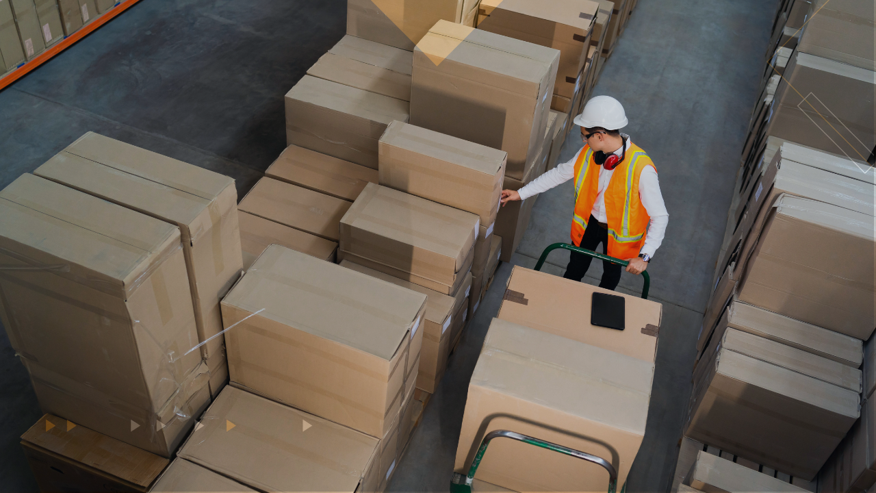 warehouse management software