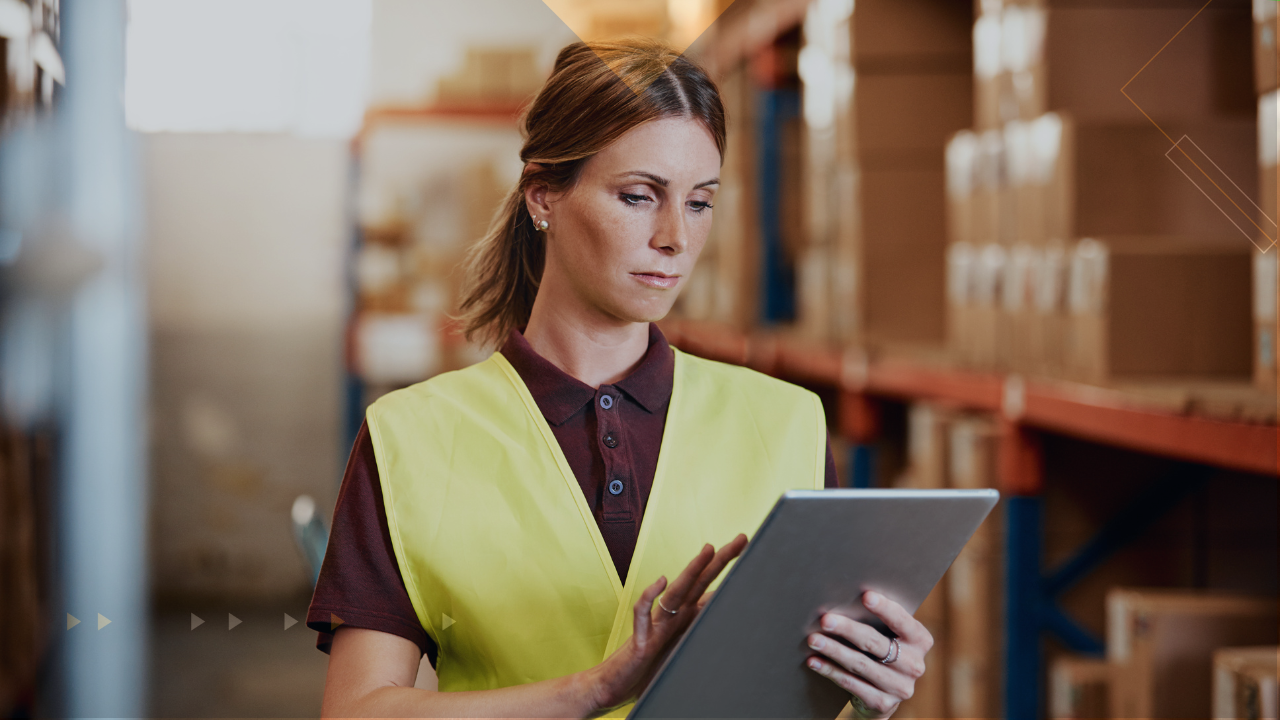desarrollo de software logistico